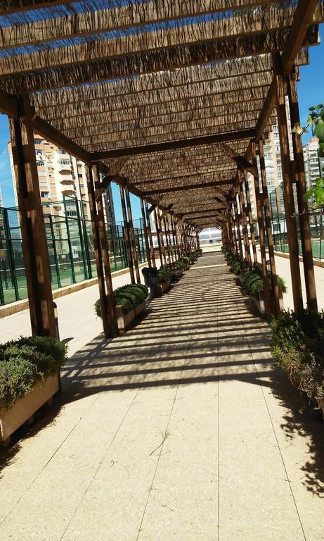 Apartment Carmentxu Gemelos 26 Μπένιντορμ Δωμάτιο φωτογραφία