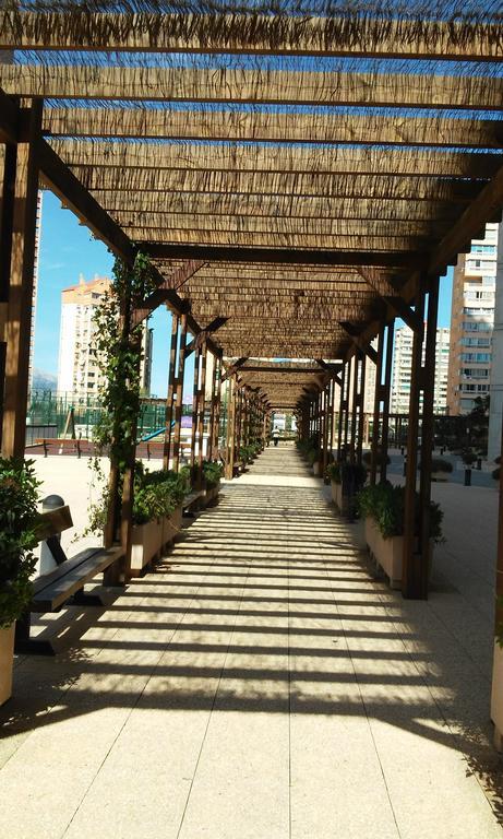 Apartment Carmentxu Gemelos 26 Μπένιντορμ Δωμάτιο φωτογραφία